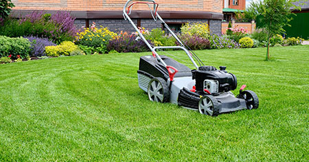 Lawn Care