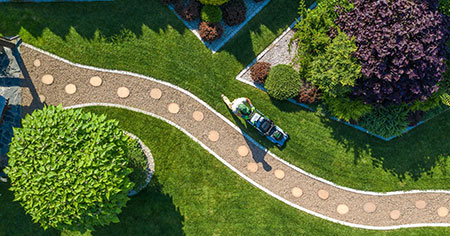 Landscape Renovation